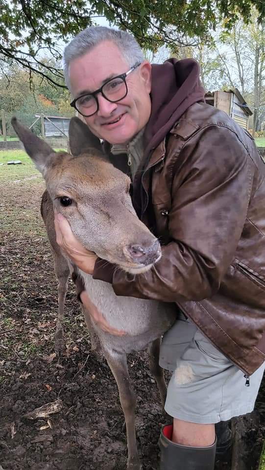 Dan, 45 ans, Terramesnil